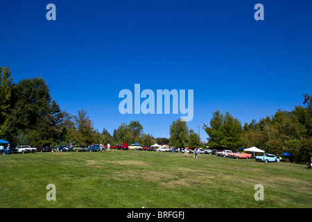 Überblick über amerikanische Autos aus den 1950 und 1960 am Concours d ' Elegance 2010 Eisenstein Stockfoto