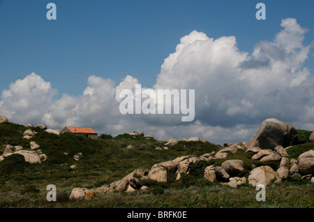 Lavezzi-Inseln, Korsika, Frankreich Stockfoto