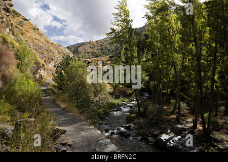 Huenes und Cerro Gordo Bereich Sierra Nevada National Park Spanien Europa Stockfoto