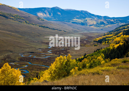 Herbst Blick auf goldene Espe Bäume und dem East River, Elk Mountains, Colorado, USA Stockfoto