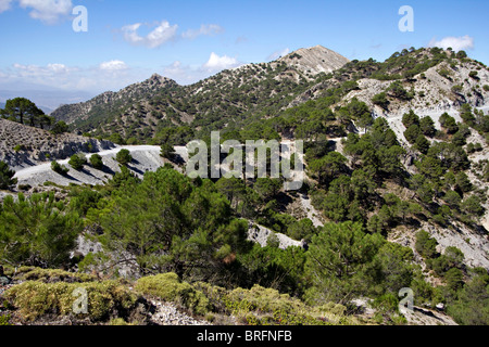 Huenes und Cerro Gordo Bereich Sierra Nevada National Park Spanien Europa Stockfoto