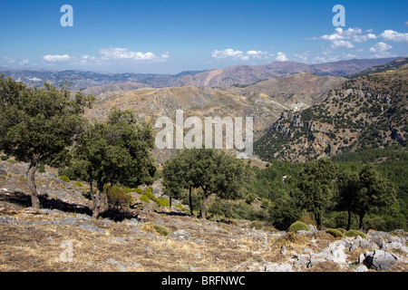 Huenes und Cerro Gordo Bereich Sierra Nevada National Park Spanien Europa Stockfoto