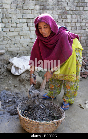 Dalit-Frau aus der Besetzung der Unberührbaren arbeitet als Scavangers, Reinigung von menschlichen Exkrementen. Uttar Pradesh, Indien Stockfoto