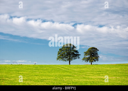 Shipley Land Park Derbyshire England uk Stockfoto