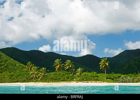 Tabak-Strand, Süd-Ost-Küste, Antigua, West Indies, Karibik, Mittelamerika Stockfoto