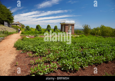 Die restaurierten Thomas Jefferson Gemüsegarten in Monticello, Virginia, USA. Stockfoto