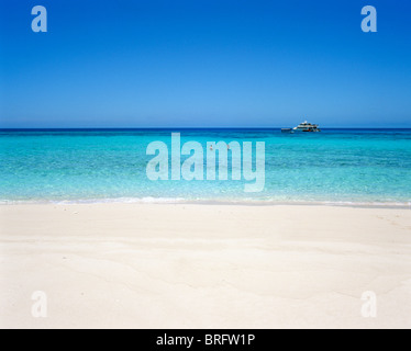 Sandbank mit Ausflugsschiff in Ferne, Great Barrier Reef, Cairns, Nord-Queensland, Australien Stockfoto