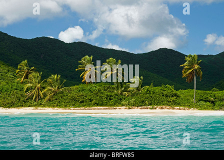 Tabak-Strand, Süd-Ost-Küste, Antigua, West Indies, Karibik, Mittelamerika Stockfoto