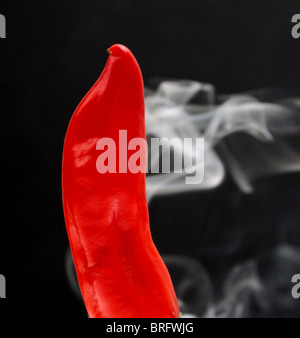 einzelne rote Chilischote mit Rauch aus es Stockfoto
