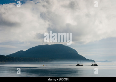 Wild Pacific Salmon Reefnet Angeln ist eine historische Pacific Northwest Lachsfischen Methode nur aus Lummi Island, WA praktiziert. Stockfoto