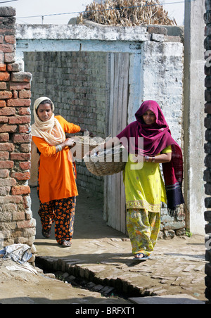 Dalit-Frauen aus der Besetzung der Unberührbaren arbeitet als Scavangers, Reinigung von menschlichen Exkrementen. Uttar Pradesh, Indien Stockfoto
