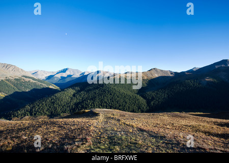 Panoramablick von der Spitze des Independence Pass (12.095'), White River National Forest, Colorado, USA Stockfoto