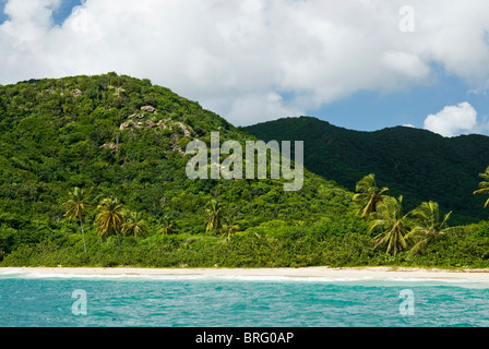 Tabak-Strand, Süd-Ost-Küste, Antigua, West Indies, Karibik, Mittelamerika Stockfoto