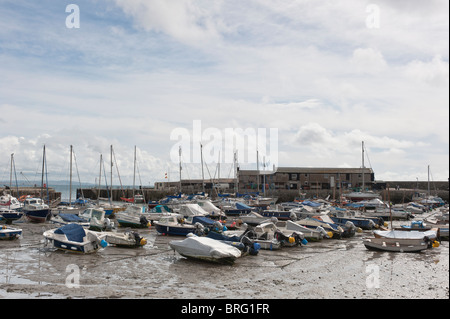 Lyme Regis Hafen bei Ebbe. Die Cobb bei Lyme Regis in West Dorset. Stockfoto