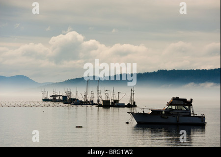 Wild Pacific Salmon Reefnet Angeln ist eine historische Pacific Northwest Lachsfischen Methode nur aus Lummi Island, WA praktiziert. Stockfoto