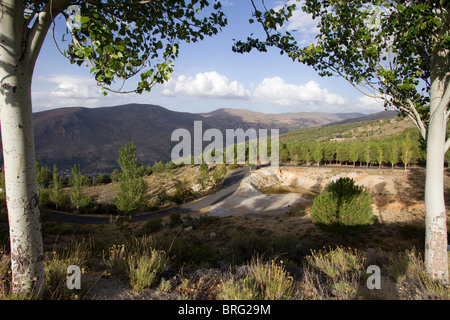 Huenes und Cerro Gordo Bereich Sierra Nevada National Park Spanien Europa Stockfoto