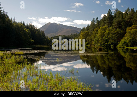 Die Glencoe man von Enterprise Waldweg über Glencoe Village. Schottischen Highlands. SCO 6767 Stockfoto