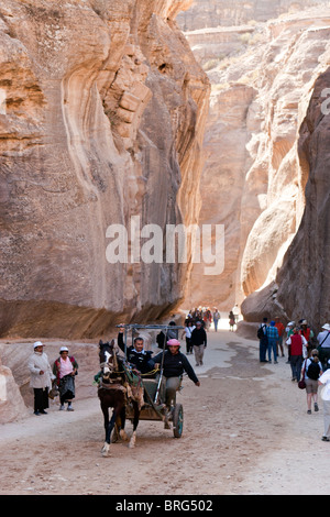 Die Siq Canyon Eingang zum alten Felsen geschnitzt Stadt Petra, Jordanien. Stockfoto