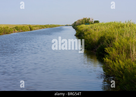 Kanal in Sabine National Wildlife Refuge, Louisiana. Stockfoto