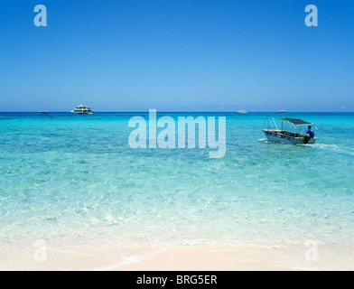 Sandbank mit Shuttle-Boot ausgehen zu Ausflug Katamaran, Great Barrier Reef, Cairns, Nord-Queensland, Australien Stockfoto