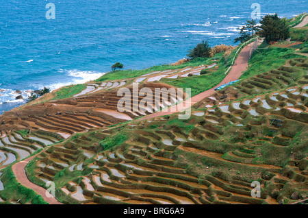 Senmaida, tausend Reisfelder, terrassierten Reisfelder, in der Nähe von Wajima, Japan. Stockfoto