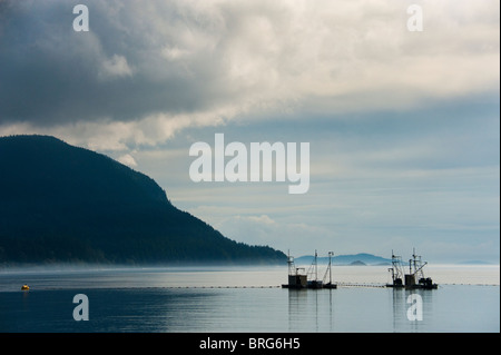 Wild Pacific Salmon Reefnet Angeln ist eine historische Pacific Northwest Lachsfischen Methode nur aus Lummi Island, WA praktiziert. Stockfoto