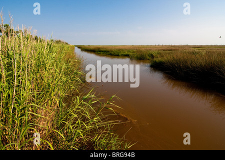 Kanal in Sabine National Wildlife Refuge, Louisiana. Stockfoto