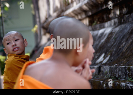 Novizen beten an der Basis eines großen Stupa am historischen Wat Hua Kuang in Nan, Thailand. Stockfoto