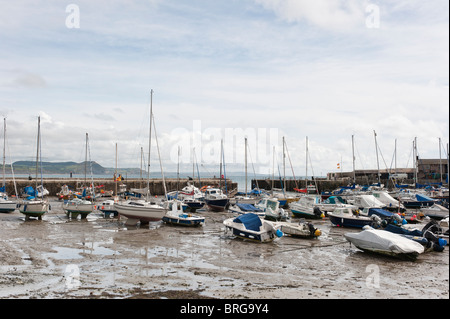 Lyme Regis Hafen bei Ebbe. Die Cobb bei Lyme Regis in West Dorset. Stockfoto