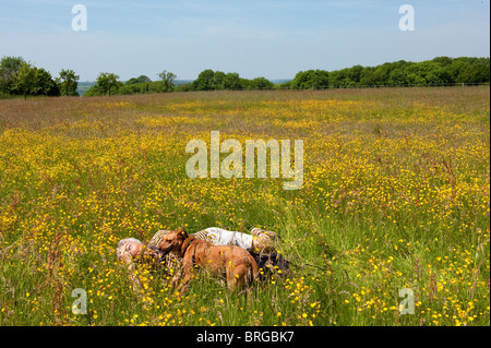 Älterer Mann ruht mit seinem Hund in Sommerlandschaft Stockfoto