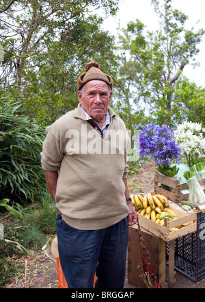 Ältere lokale Anbieter auf Portela-Pass in Madeira verkaufen Blumen und Früchte Stockfoto