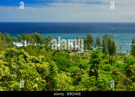 Ein grünes Paradies an der rauen vulkanischen Küste in Laupahoehoe Point, Hamakua Coast, Big Island, Hawaii. Stockfoto