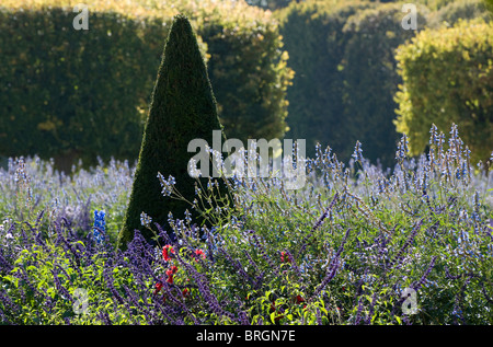 Schloss von Versailles, Frankreich Stockfoto