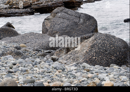 Die endständigen Granitfelsen in Granito Orbicular Santuario De La Naturaleza Rodillo Pazifikküste Atacama Chile Südamerika Stockfoto