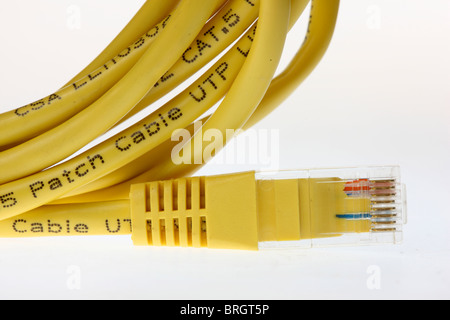 Computer-Netzwerk-Kabel, Stecker des LAN-Kabel. Stockfoto