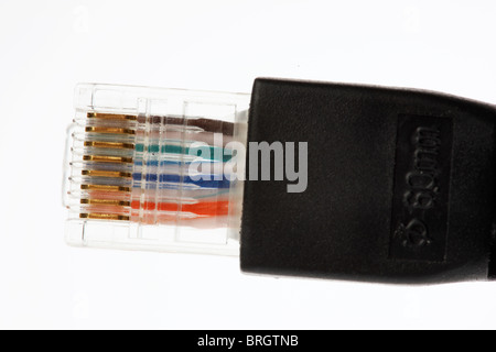 Computer-Netzwerk-Kabel, Stecker des LAN-Kabel. Stockfoto