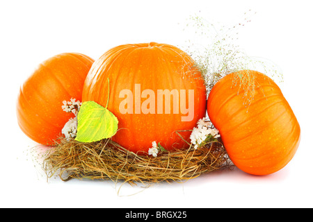 Kürbisse & trockenes Laub isoliert auf weiss Stockfoto