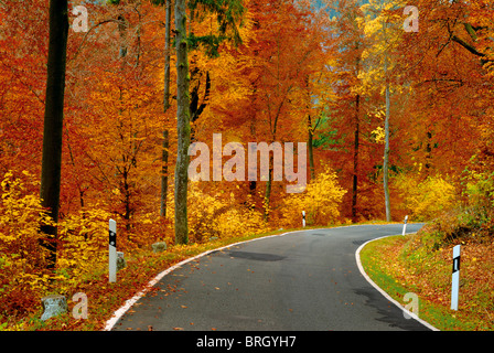 Deutschland: Herbst im Odenwald Stockfoto