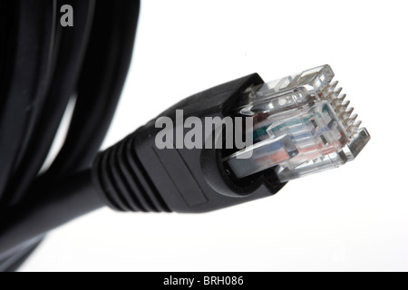 Computer-Netzwerk-Kabel, Stecker des LAN-Kabel. Stockfoto