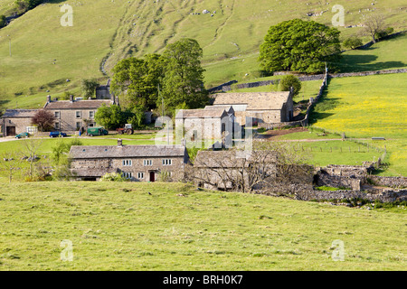 Die Farm in Yockenthwaite in Langstrothdale in der Yorkshire Dales National Park, North Yorkshire Stockfoto