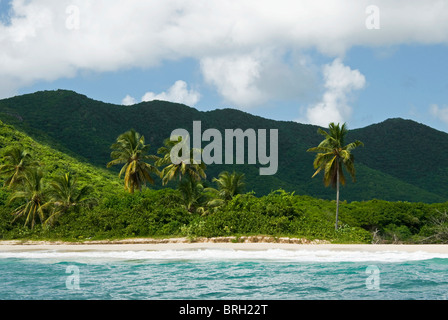 Tabak-Strand, Süd-Ost-Küste, Antigua, West Indies, Karibik, Mittelamerika Stockfoto