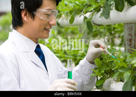 Wissenschaftler forschen in moderner Bauernhof Stockfoto