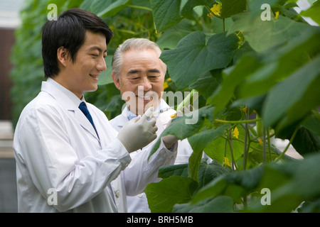 Wissenschaftler forschen in moderner Bauernhof Stockfoto