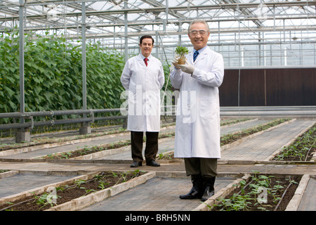 Wissenschaftler forschen in moderner Bauernhof Stockfoto