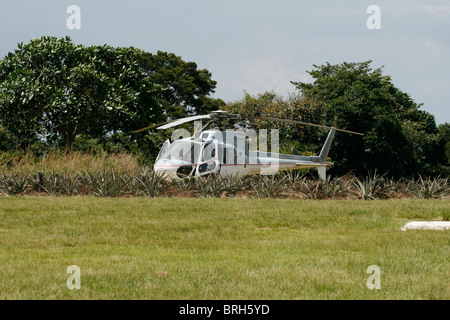 Ein Eurocopter AS350-B2 (Ecureuil/Eichhörnchen), von einer Insel im Viktoriasee, Uganda ausziehen Stockfoto