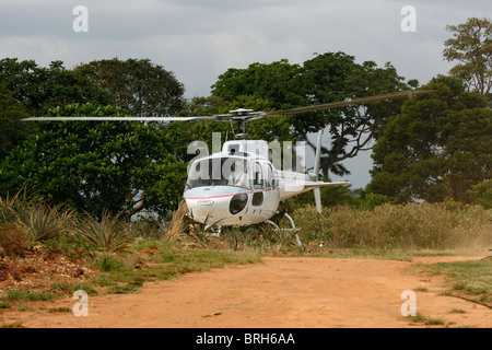 Ein Eurocopter AS350-B2 (Ecureuil/Eichhörnchen) von einer Insel im Viktoriasee, Uganda Stockfoto