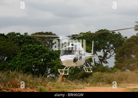 Ein Eurocopter AS350-B2 (Ecureuil/Eichhörnchen) von einer Insel im Viktoriasee, Uganda Stockfoto