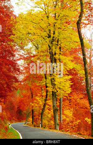 Deutschland: Herbst im Odenwald Stockfoto