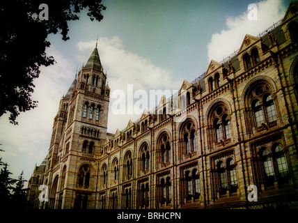 Natural History Museum, London, UK Stockfoto
