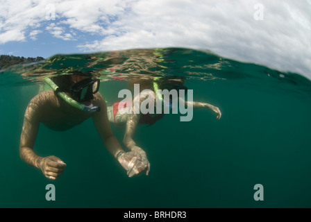 Paar Schnorcheln im Urlaub, Ost-Malaysia, Sabah, Gaya Island, Gayana Eco-Resort. Stockfoto